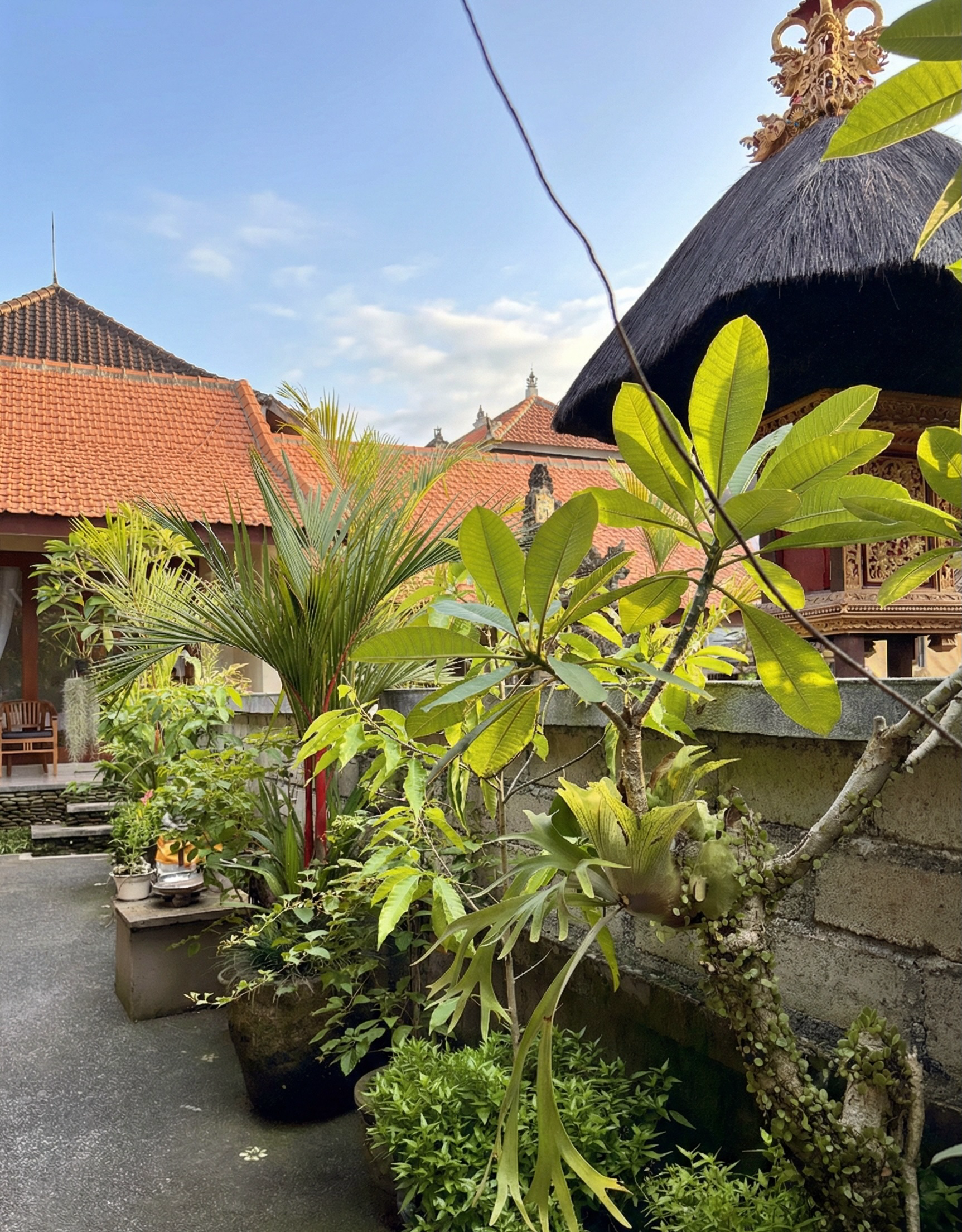 Anugrah Twin Ubud thumbnail 7